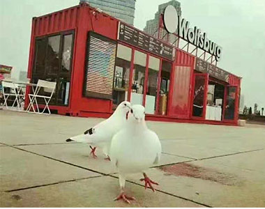 星海网红咖啡厅